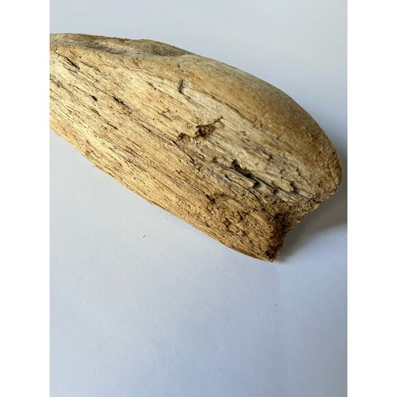 Driftwood from Hetch Hetchy dam 12 inches aquarium art decor - Picture 3 of 9
